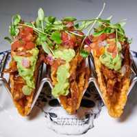 <p>Duck tacos</p>