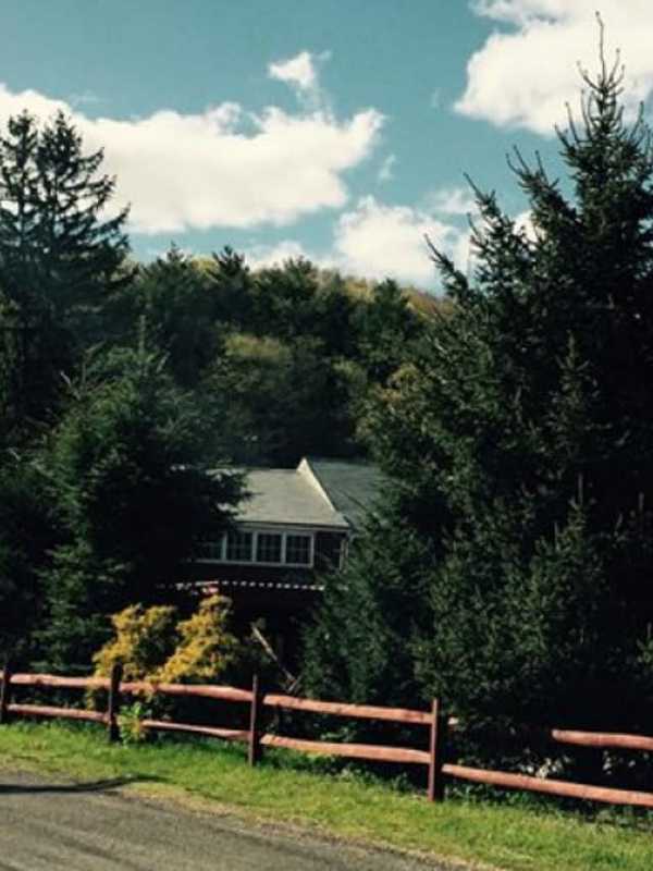 Activists Rally To Help 'Save Our Shelton' Fight Development In The City