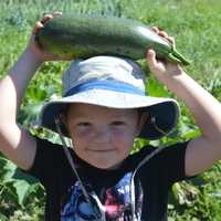 <p>One of HealthBarn USA&#x27;s, young farmers shows off his homegrown produce at Abma Farms in Wyckoff.</p>