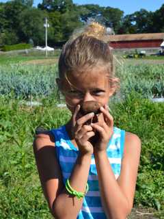 Discover Fairy Grottos And Dinosaur Dens At Paramus Library
