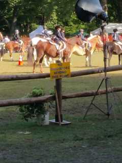 Peekskill Rotary Stages 45th Annual Horse Show 