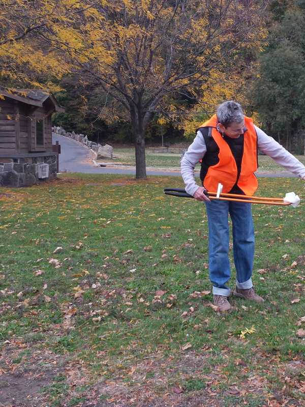 Join Nature Lovers, Clean Parks Along Palisades