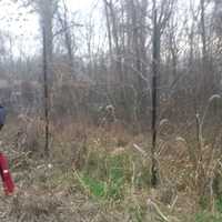 <p>Bobbie Bouton-Goldberg takes a picture as a record of several fences damaged by deer in the area.</p>