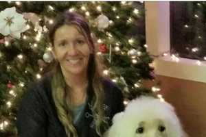 'Pawesome Pet Spa' Pampers Lyndhurst Kitties, Doggies