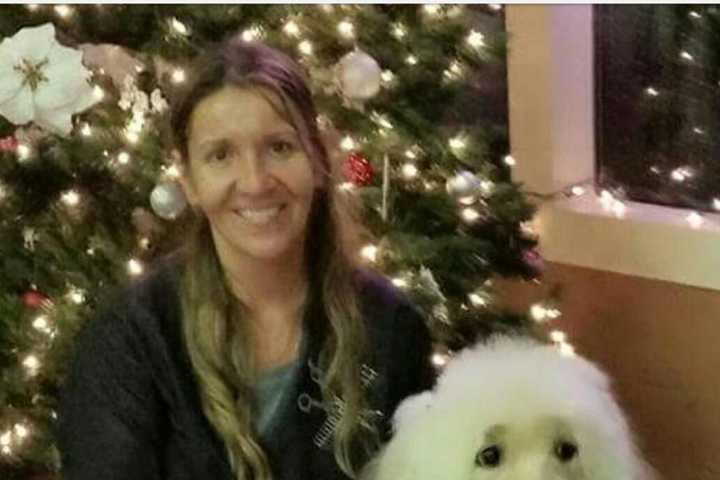 'Pawesome Pet Spa' Pampers Lyndhurst Kitties, Doggies