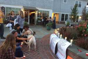 Tears, Prayers Flow At Westport Vigil For Orlando Victims