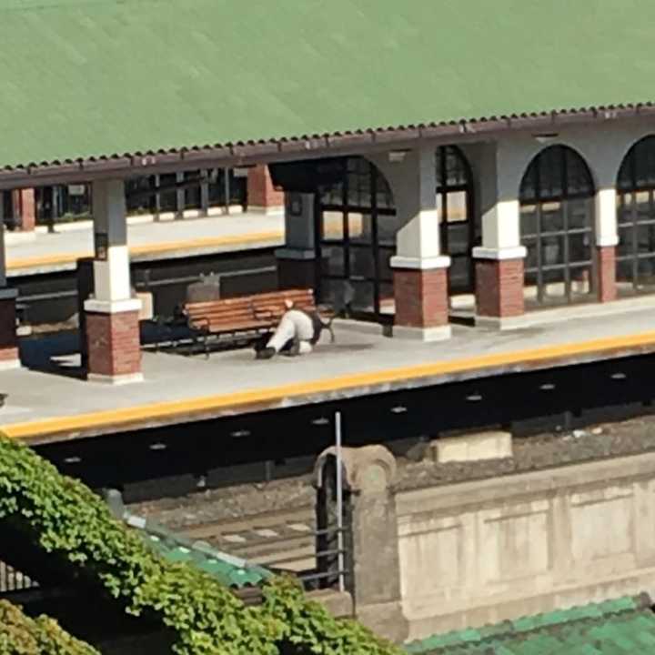 Bomb Squad technician at Ridgewood train station.