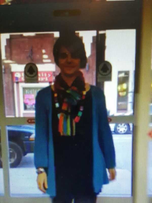 New Doors Debut At Howland Public Library In Beacon