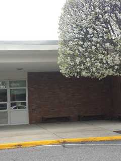 New Furnace Needed At Rye School, $1.8 Million Bond Issue Proposed