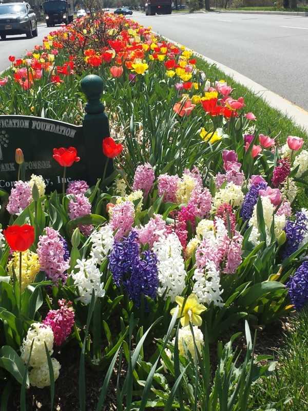 Spring Showers Bring Abundance Of May Flowers To Route 127
