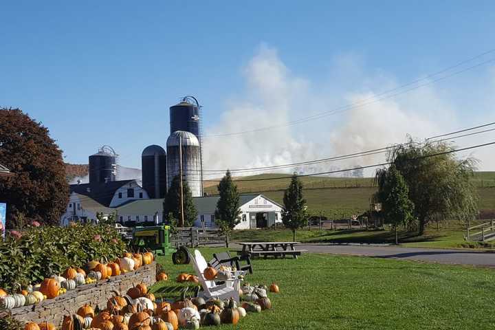 Firefighters Battle Cornfield Blaze At North East's Willowbrook Farm