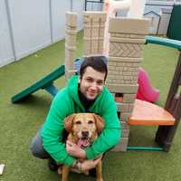 <p>Dogs are well cared for at Canine Kindergarten at The Park in Mount Kisco.</p>