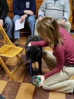 Danbury Firefighters Receive Donation Of Pet Oxygen Masks
