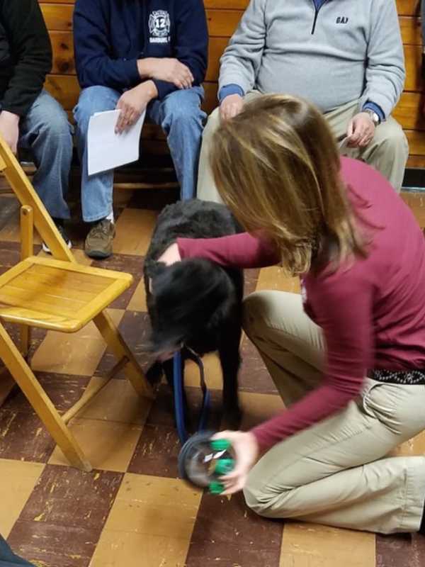 Danbury Firefighters Receive Donation Of Pet Oxygen Masks
