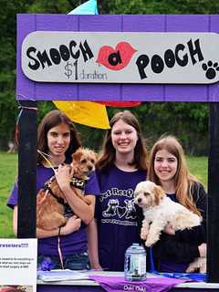 PHOTOS: Canine Carnival Benefited Cresskill Education Foundation