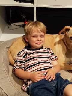 Putnam Valley Dad Shares His 'Dog Day' In The 'Office'