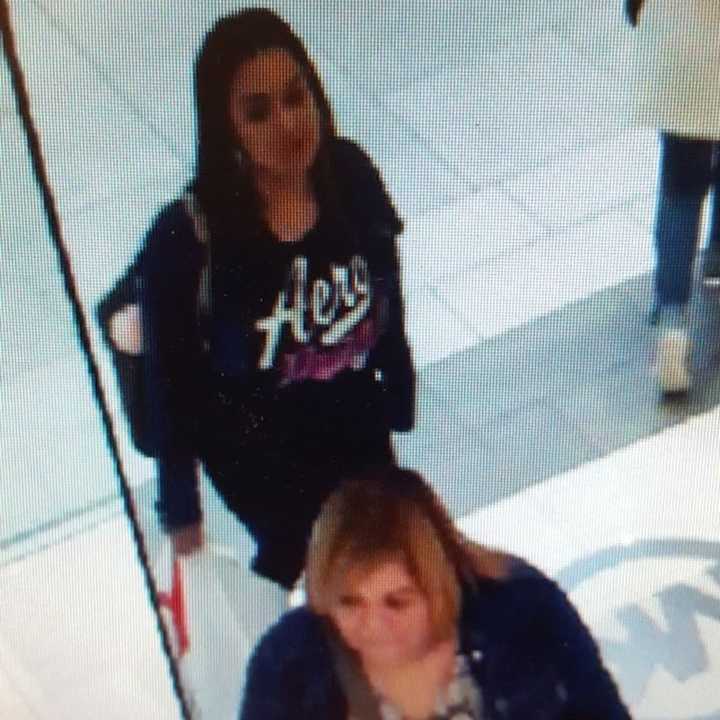 If you recognize these women, or have information that could help the investigation, call the Carlstadt Police Criminal Investigations Unit: (201) 438-4810.