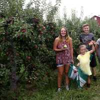 Head To The Farm: Orange County Is 'Ripe' For Apple Picking