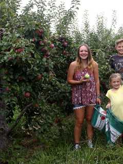 Head To The Farm: Orange County Is 'Ripe' For Apple Picking