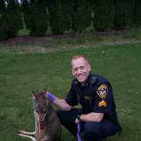 <p>The Fairfield police sergeant who killed the coyote as it ran straight at him following the attack.</p>