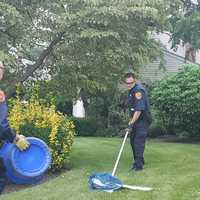 <p>An injured egret is captured by police to be taken for treatment.</p>