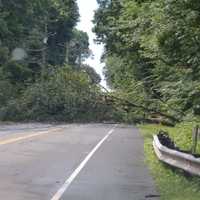 Storms Knock Out Power To Thousands In Area