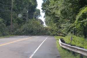 Storms Knock Out Power To Thousands In Area