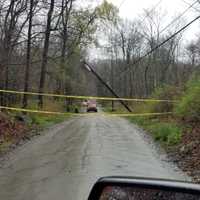 <p>High winds downed trees and utility wires.</p>