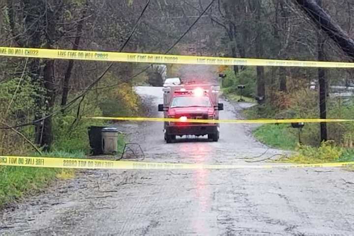 Strong Wind Gusts Knock Out Power In Westchester