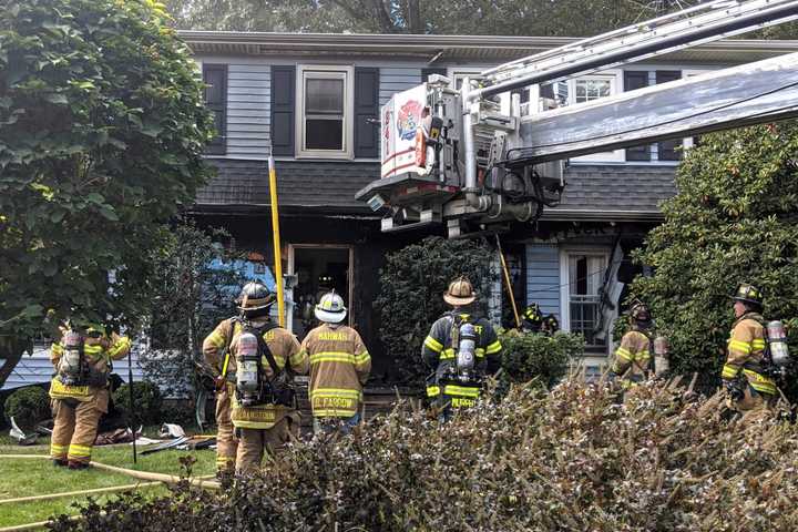 Cats Rescued In Mahwah House Fire