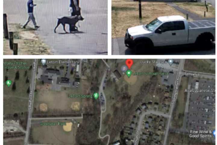 Dog Attack Sends Victim To Hospital In Central PA: Police