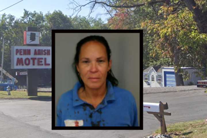 Reading Woman Bites Guest At Penn Amish Motel: Police