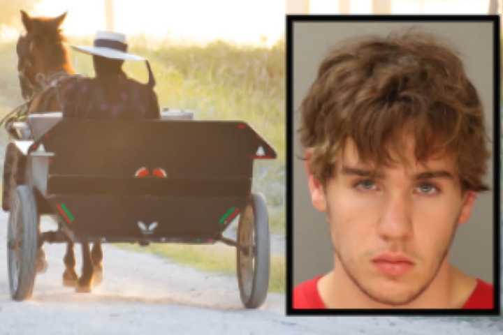 Lititz Man Who Struck Amish Teen Dead Sentenced, 'Not Their Place To Judge' Community Says