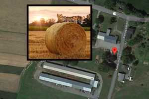 Amish 4-Year-Old Boy Dies After Farming Accident In Central PA