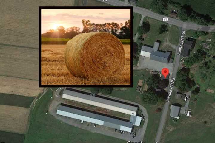 Amish 4-Year-Old Boy Dies After Farming Accident In Central PA