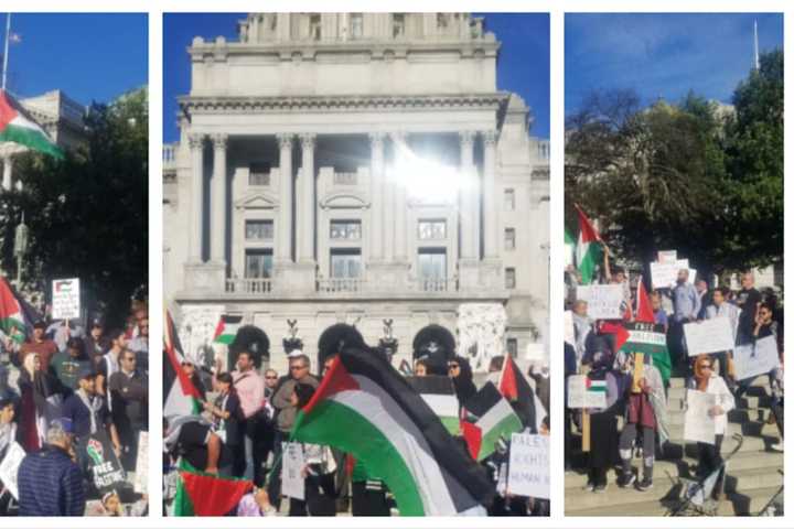 Man Points Gun At 'Peace For Palestine' Rally Attendees On Pennsylvania Capitol's Steps: Police