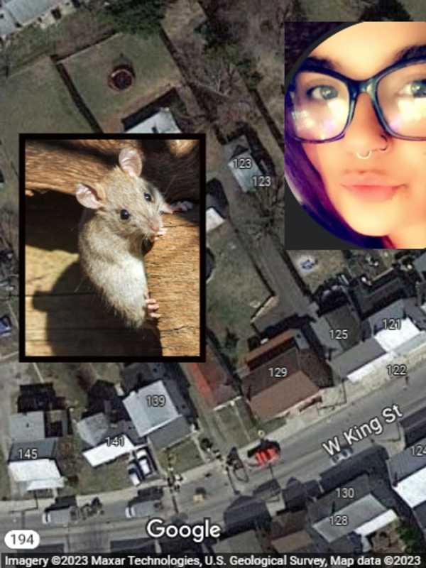 Mom Charged With Neglect Launches GoFundMe After Dad Found Dead With Rat