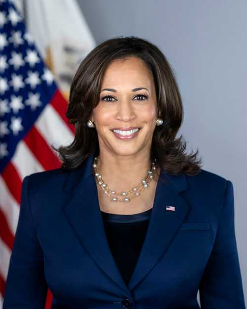 VA Man Who Made Thousands Of Posts Threatening VP Kamala Harris, Barack ...