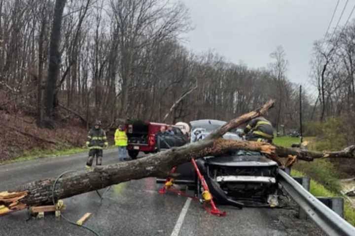 'Serious Injuries' Hospitalize 2 After Tree Falls On SUV: PA State Police (PHOTOS)