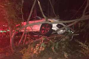 Car Goes Off Pound Ridge Road After Driver Falls Asleep, Police Say