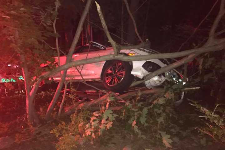 Car Goes Off Pound Ridge Road After Driver Falls Asleep, Police Say