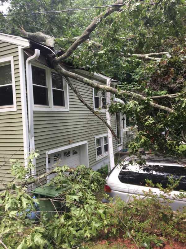 Crushed: Monroe Home Damaged By Fallen Tree