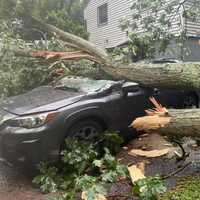 <p>A vehicle was smashed and a home slightly damaged when a large tree fell during a storm in Shelton.</p>