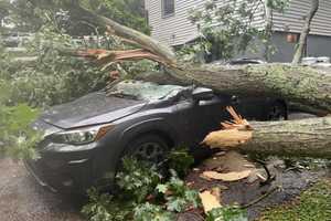 Large Tree Falls On Home In Fairfield County, Crushes Vehicle