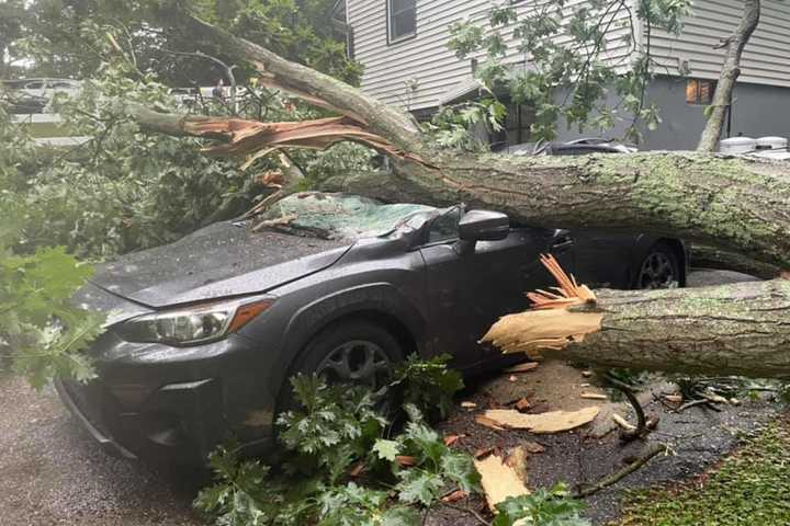 Large Tree Falls On Home In Fairfield County, Crushes Vehicle