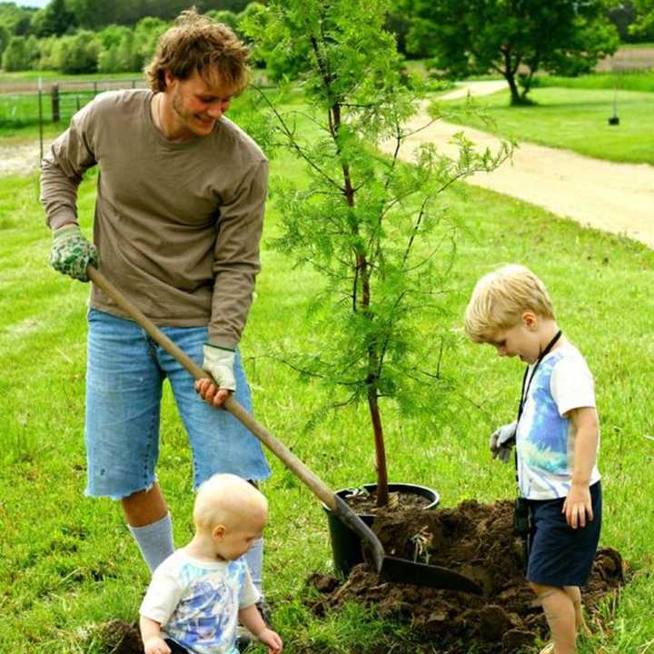 Arbor Day is Friday.