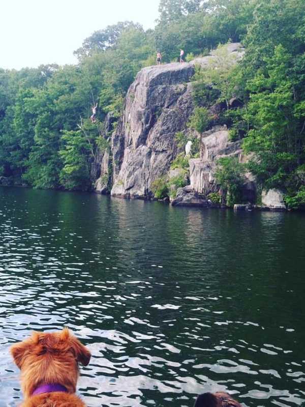 Westchester Lake Gets Top Honors As One Of The Best Places To Swim