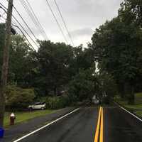 <p>Christian Herald Road is closed due to a downed tree.</p>