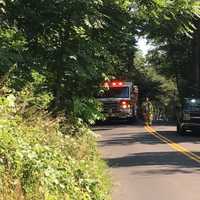 <p>The car vs. motorcycle crash occurred on Cartbridge Road in Weston.</p>