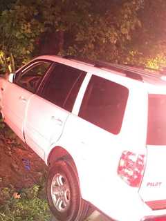 Man Crashes Through Hedges, Into Patio Bench, Tree In Rockland